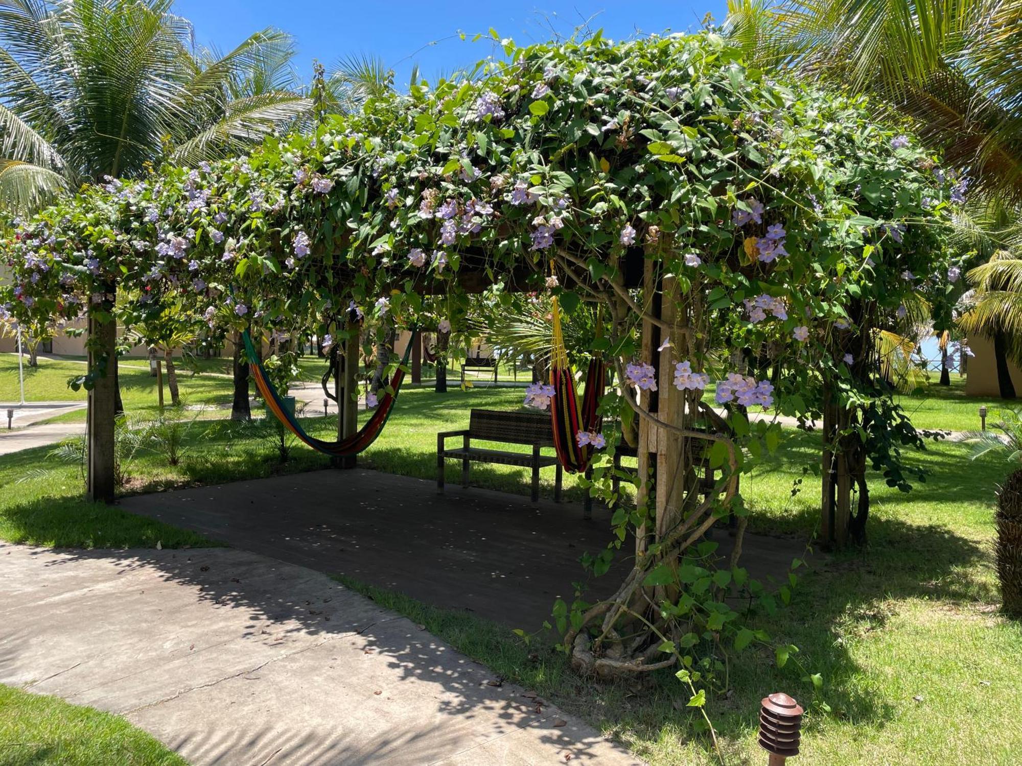 Vg Sun Bangalo P Cumbuco Fronte Mare 5 M Dal Mare公寓 外观 照片